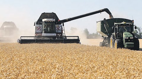 Процент тяжести