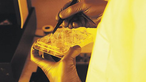 Клеточное время